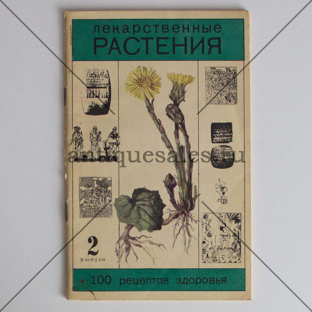 Книга Лекарственные растения. 100 рецептов здоровья. Выпуск 2 »  AntiqueSales.ru